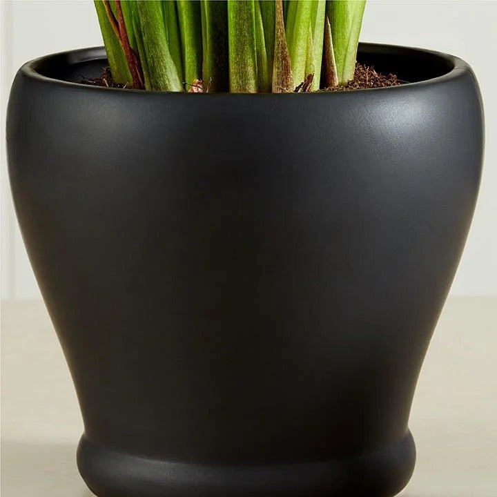 White Calla Lily Ceramic Potted Plant